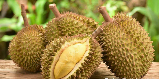 1593337673108622.png 馬來西亞進口冷凍榴蓮報關