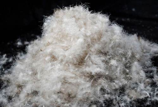 1597112607598605.png 鴨絨進口報關