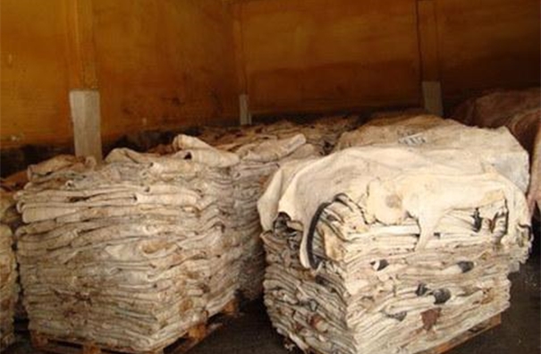 1608635025899283.jpg u=1956551435,2607647496&fm=26&gp=0_副本.jpg