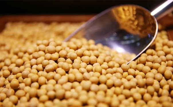 【大豆進(jìn)口清關(guān)代理】的流程,一般貿(mào)易進(jìn)口大豆 大豆進(jìn)口清關(guān)代理