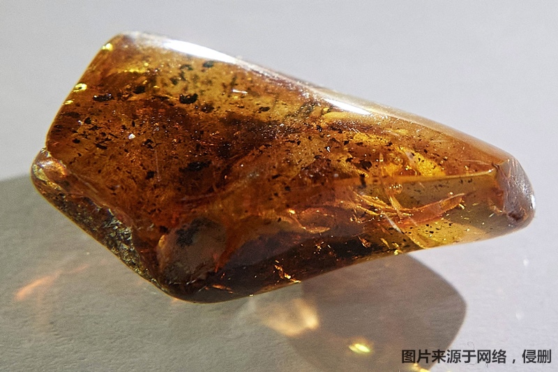 1682589476688981.jpg 琥珀進(jìn)口報關(guān)流程.jpg